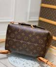 Рюкзак Louis Vuitton Montsouris PM Monogram Canvas